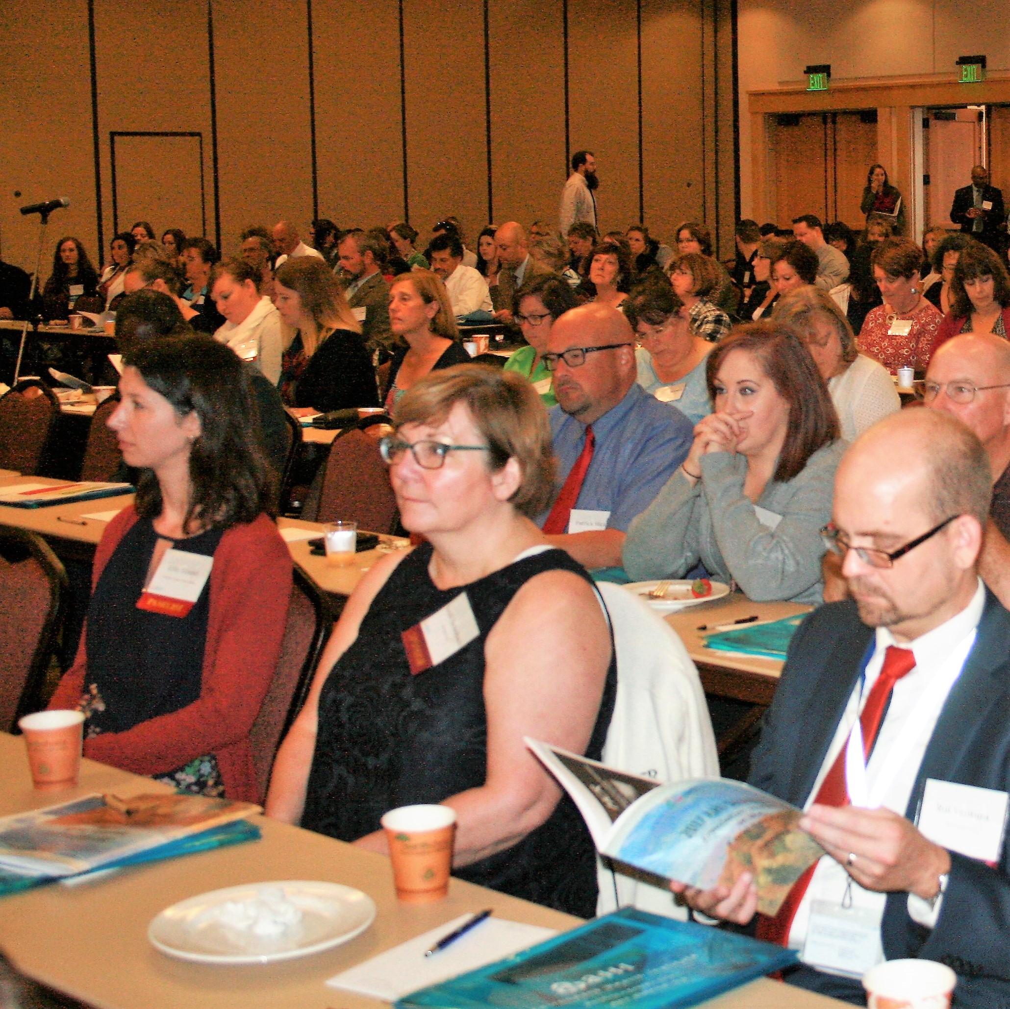 More Than 200 Professionals Attend 2017 AHI Summit